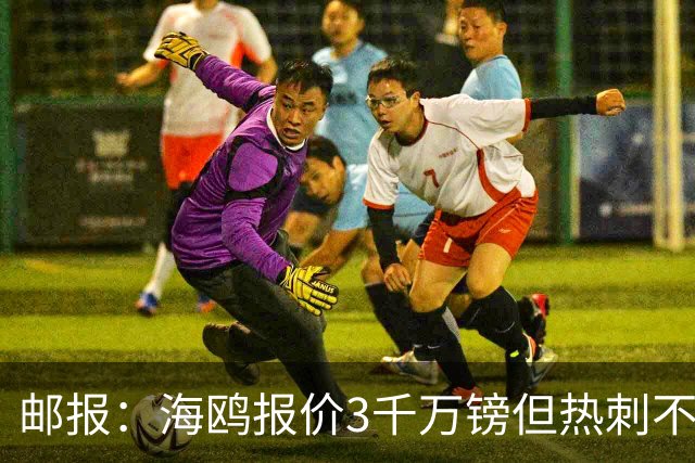 邮报：海鸥报价3千万镑但热刺不愿卖武什科维奇 巴萨国米拜仁关注